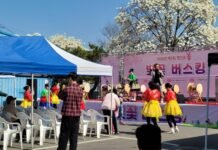 ‘제3회 영산포봄 벚꽃버스킹’, 만봉천 봄날에 흥과 감동 가득