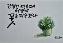 간절함 마음없이 어떻게 꽃을 피우겠나