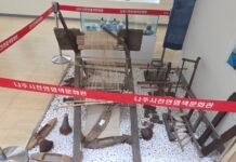 한국 천연염색 역사, 수천 년을 물들인 자연의 색