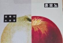 나주도서관, 7월 테마도서퀴즈 성료… “책 한 권으로 여름을 채우다”