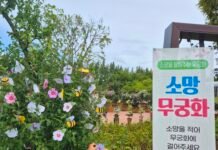 전남광주통합특별시 산림연구원, 31일까지 나라꽃 무궁화 한마당 개최
