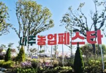 나주농업페스타, 11일까지 5일간 영산강정원서 대장정