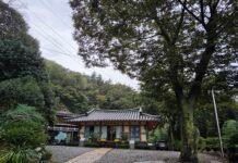 나주 가야산 영천사(靈泉寺)에 깃든 불교문화의 이야기
