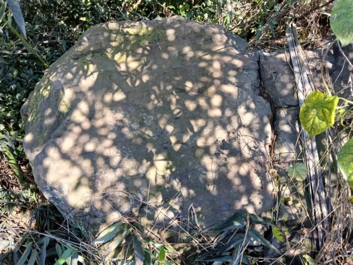 KakaoTalk_20261026_161858434
